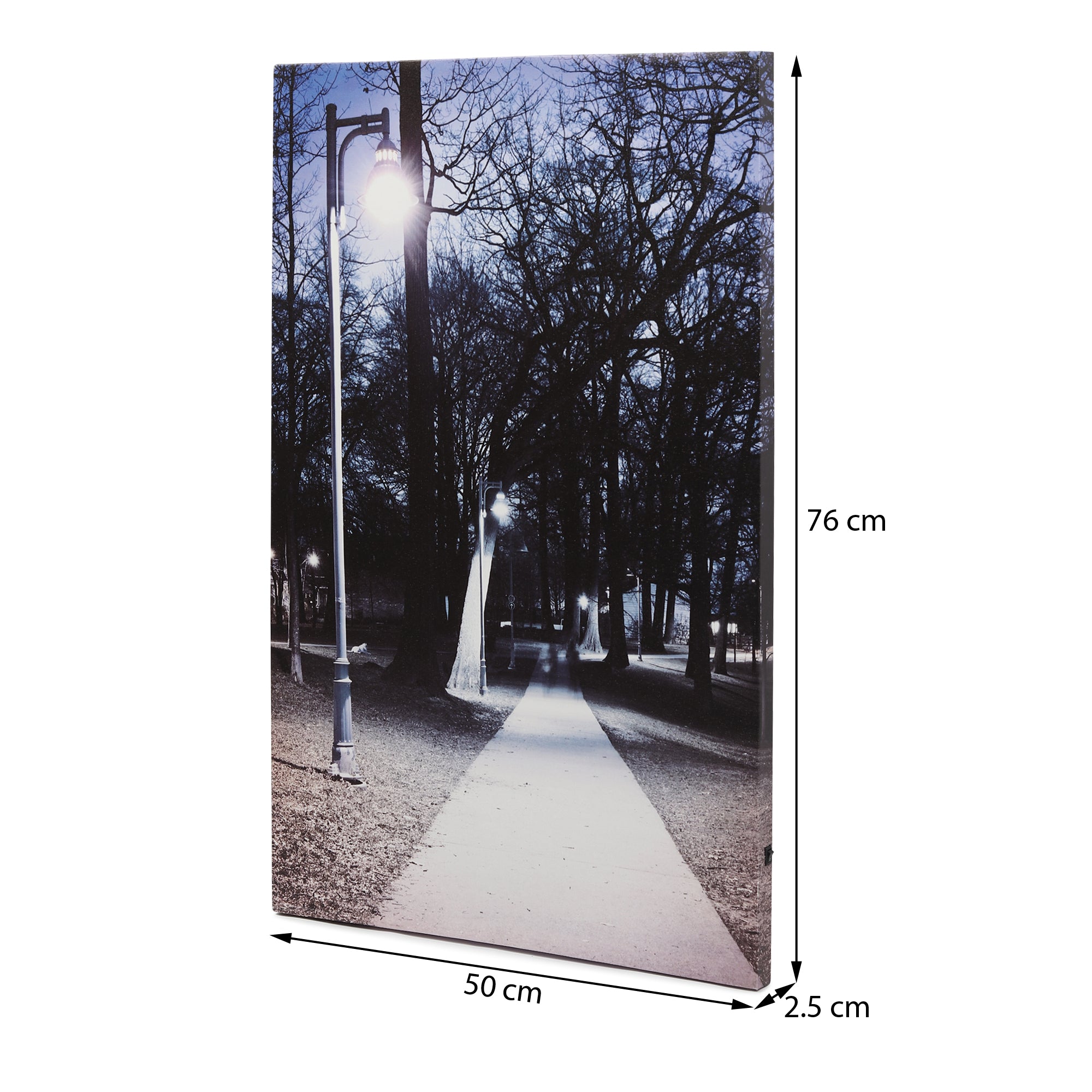 Path of Destiny – LED Illuminated Wall Art