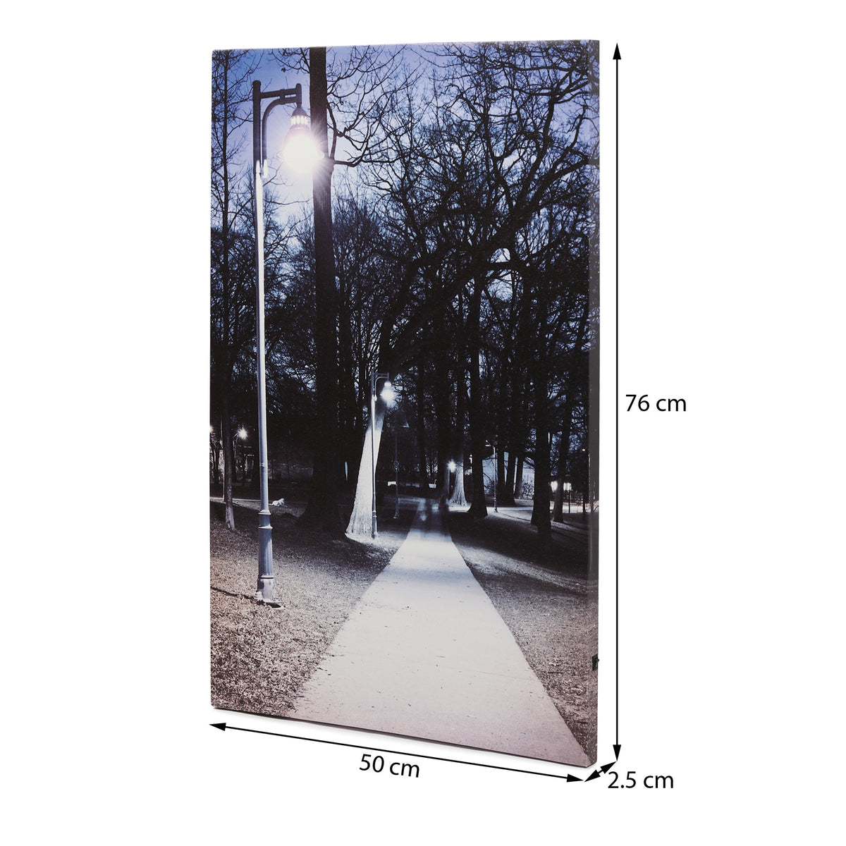 Northern Dreams LED Illuminated Wall Art - Wall art M.M.I. OVERSEAS