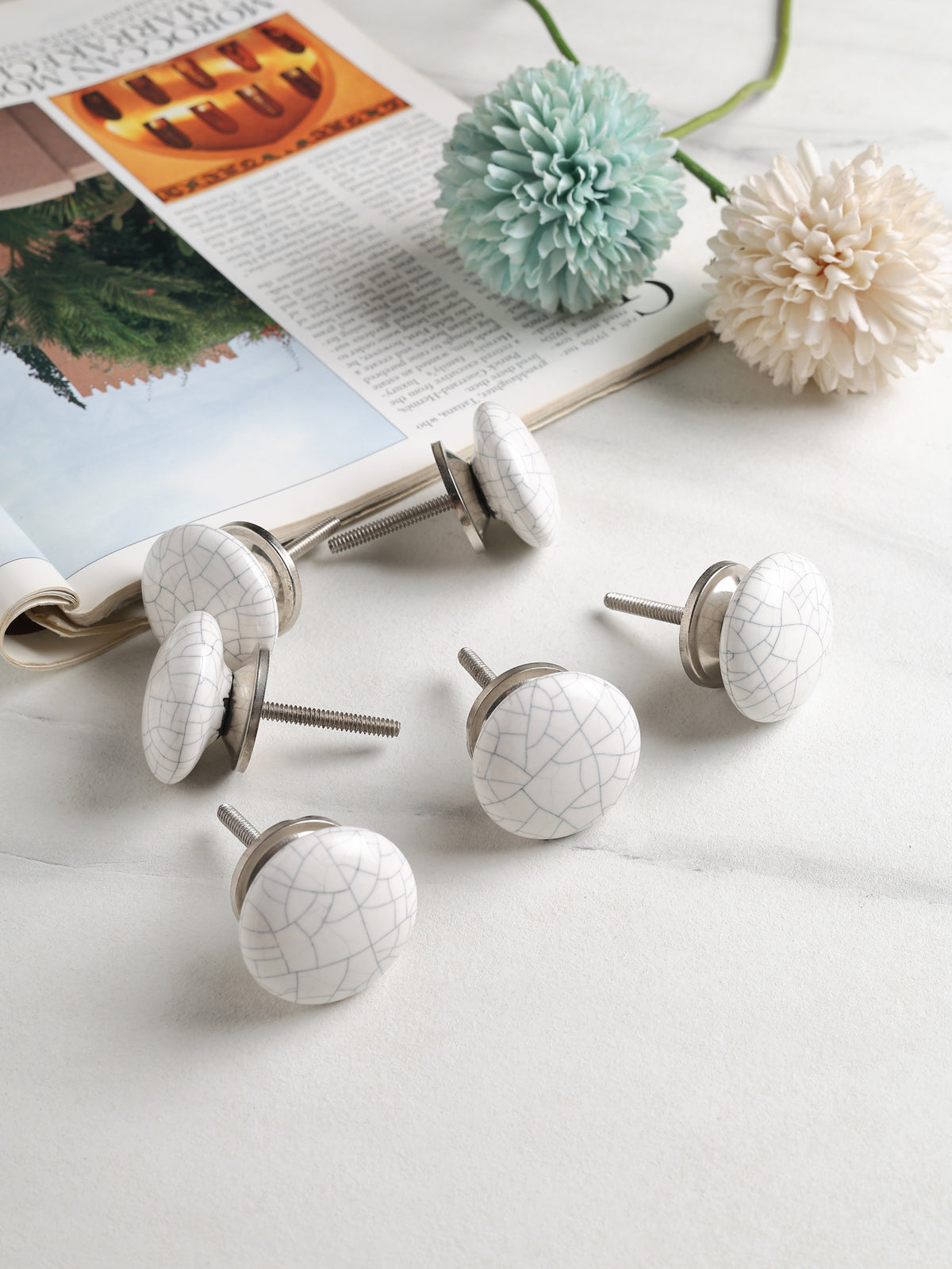 Cressa Knob set of 6 - Ouchcart