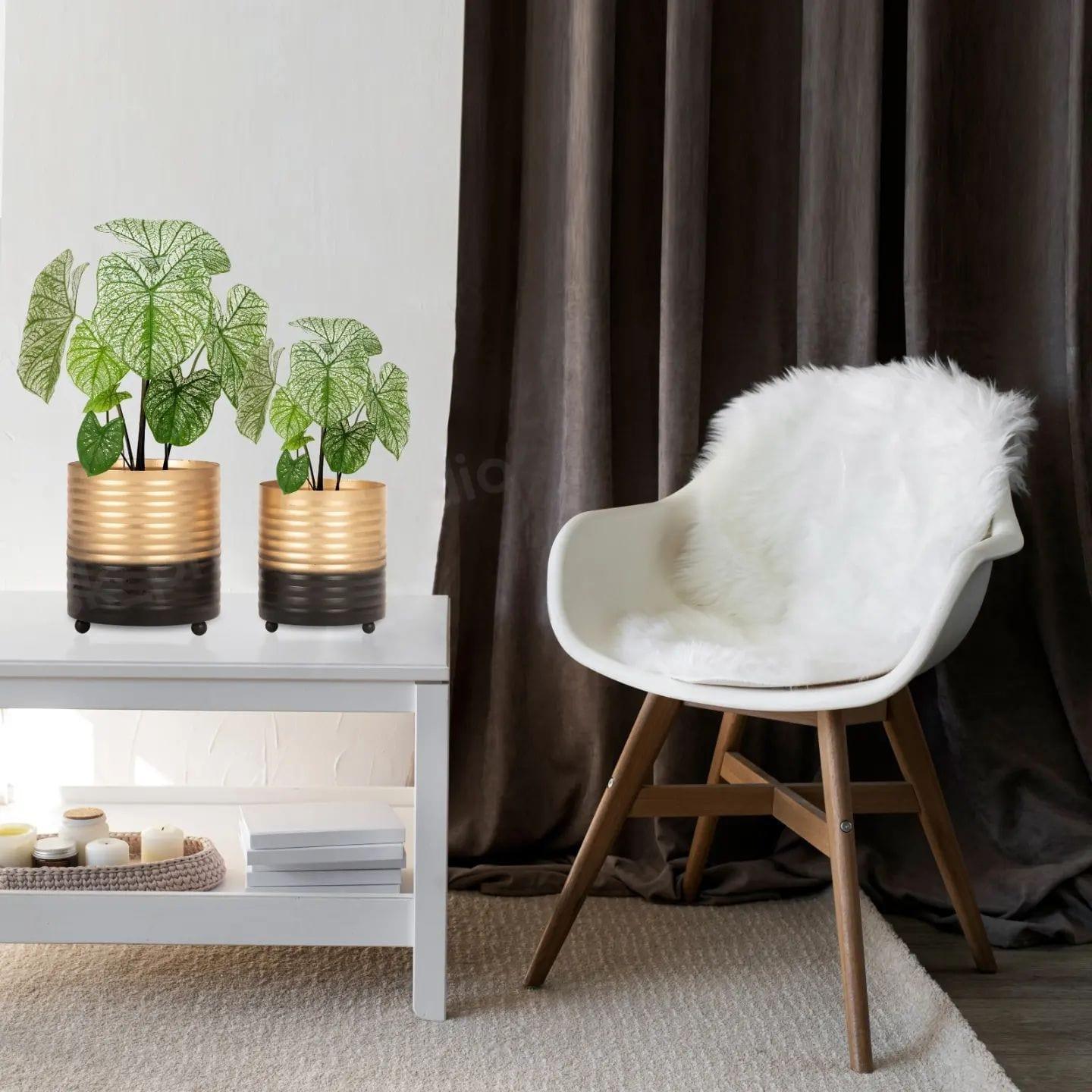 Golden And Black Flower Pot - Ouch Cart
