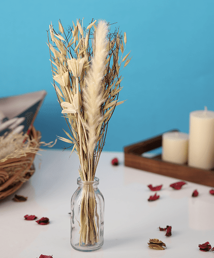 Liliana Dried Floral Bunny Tail (small) - Ouch Cart