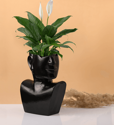 Visionary Face Glossy Black Planter - Ouch Cart