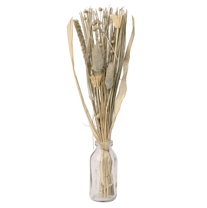 Liliana Dried Floral Silver Haze (small) - Ouch Cart