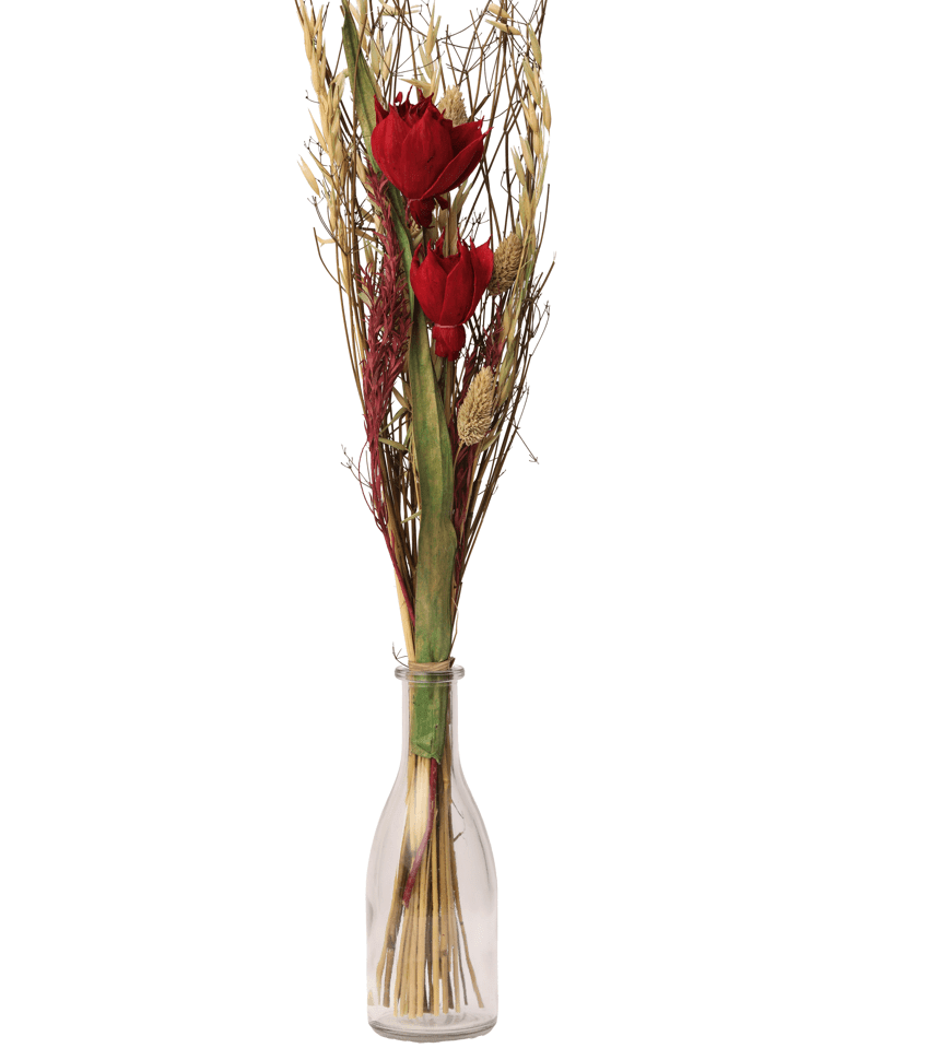 Liliana Dried Floral Rose Delight (large) - Ouch Cart
