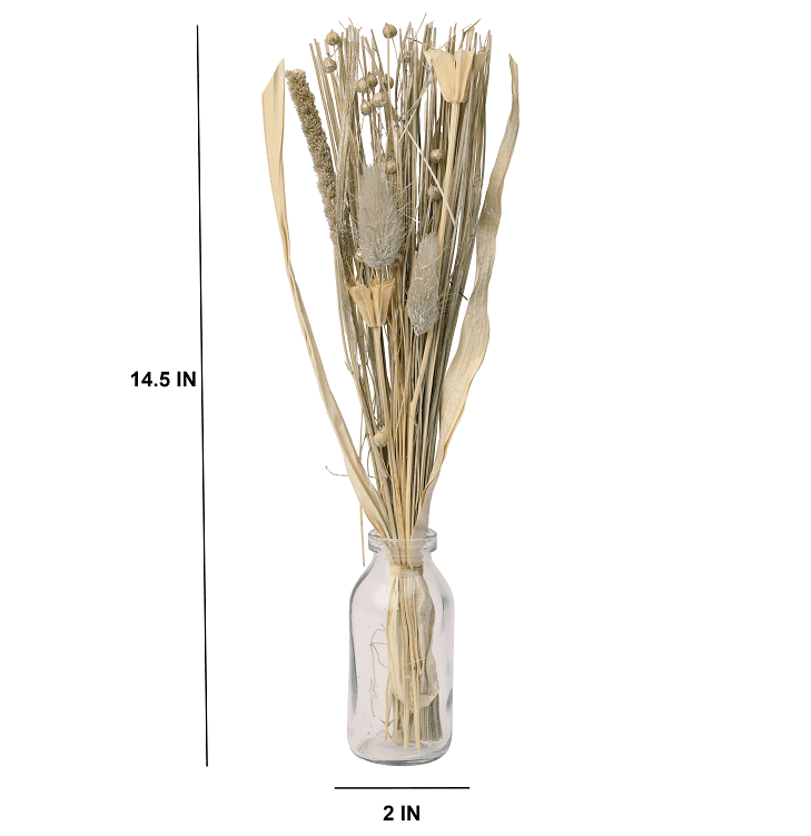 Liliana Dried Floral Silver Haze (small) - Ouch Cart