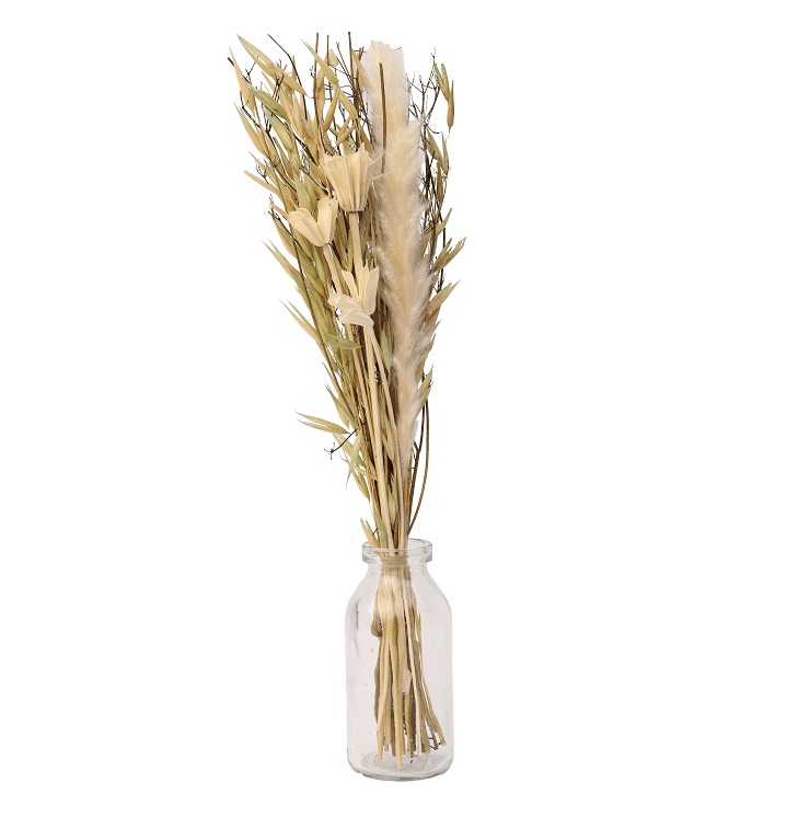 Liliana Dried Floral Bunny Tail (small) - Ouch Cart