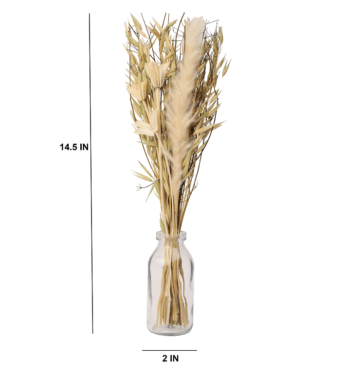 Liliana Dried Floral Bunny Tail (small) - Ouch Cart
