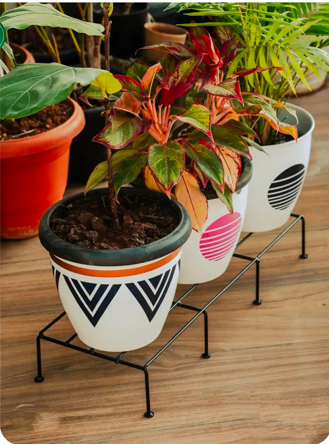Elated Metal Plant Stand (Set Of 4) Black Rust Proof Pot