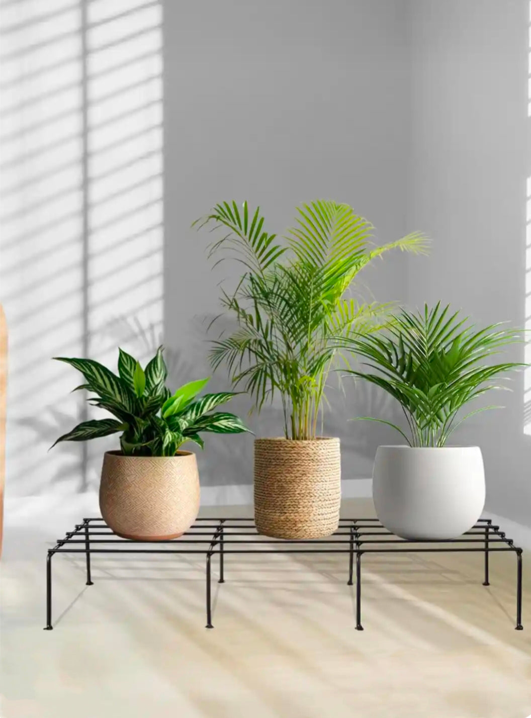 Elated Metal Plant Stand (Set Of 4) Black Rust Proof Pot - OUCHCART