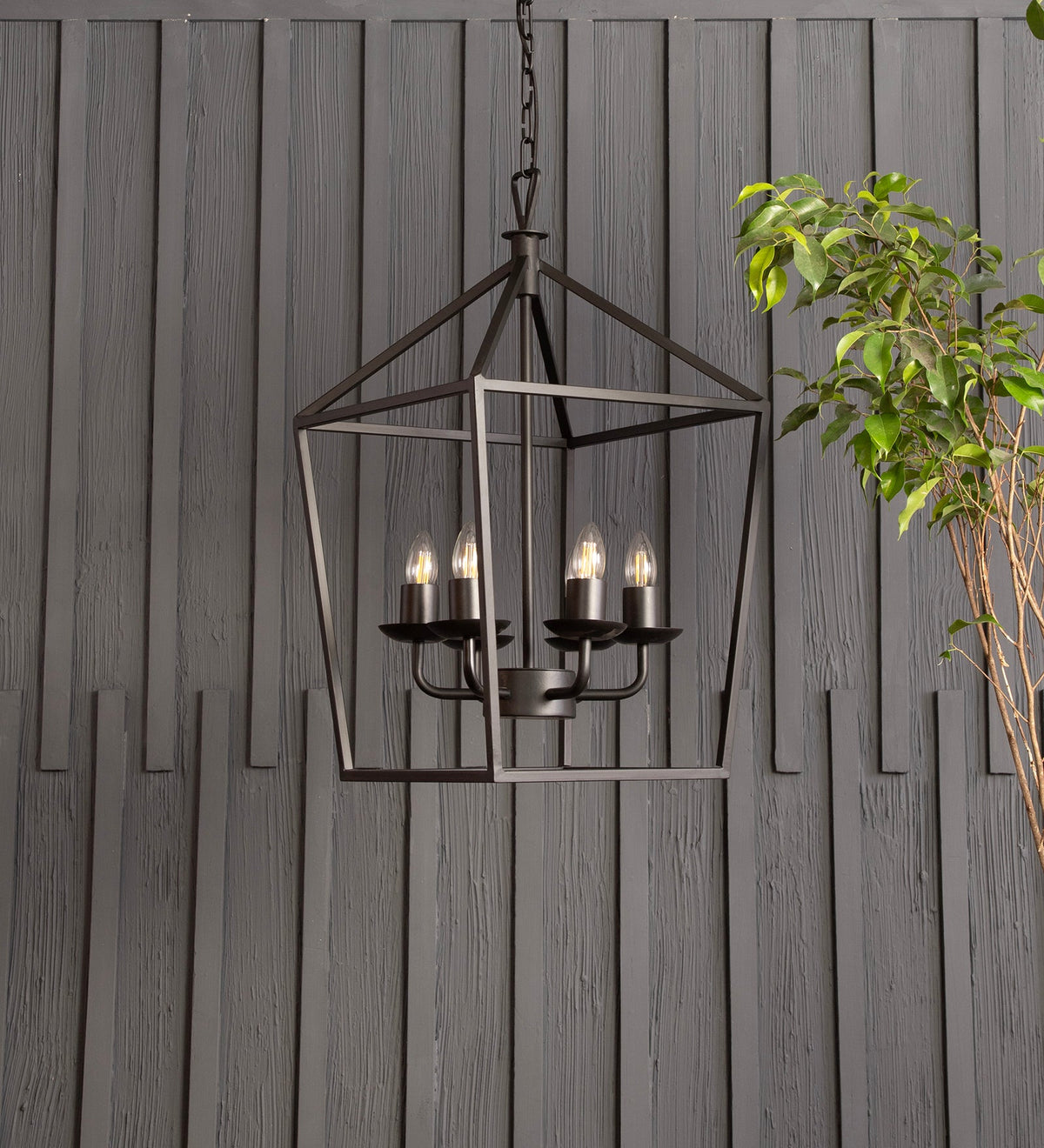 Velsa 6Lt Chandelier By Shoppeefry Shoppeefry
