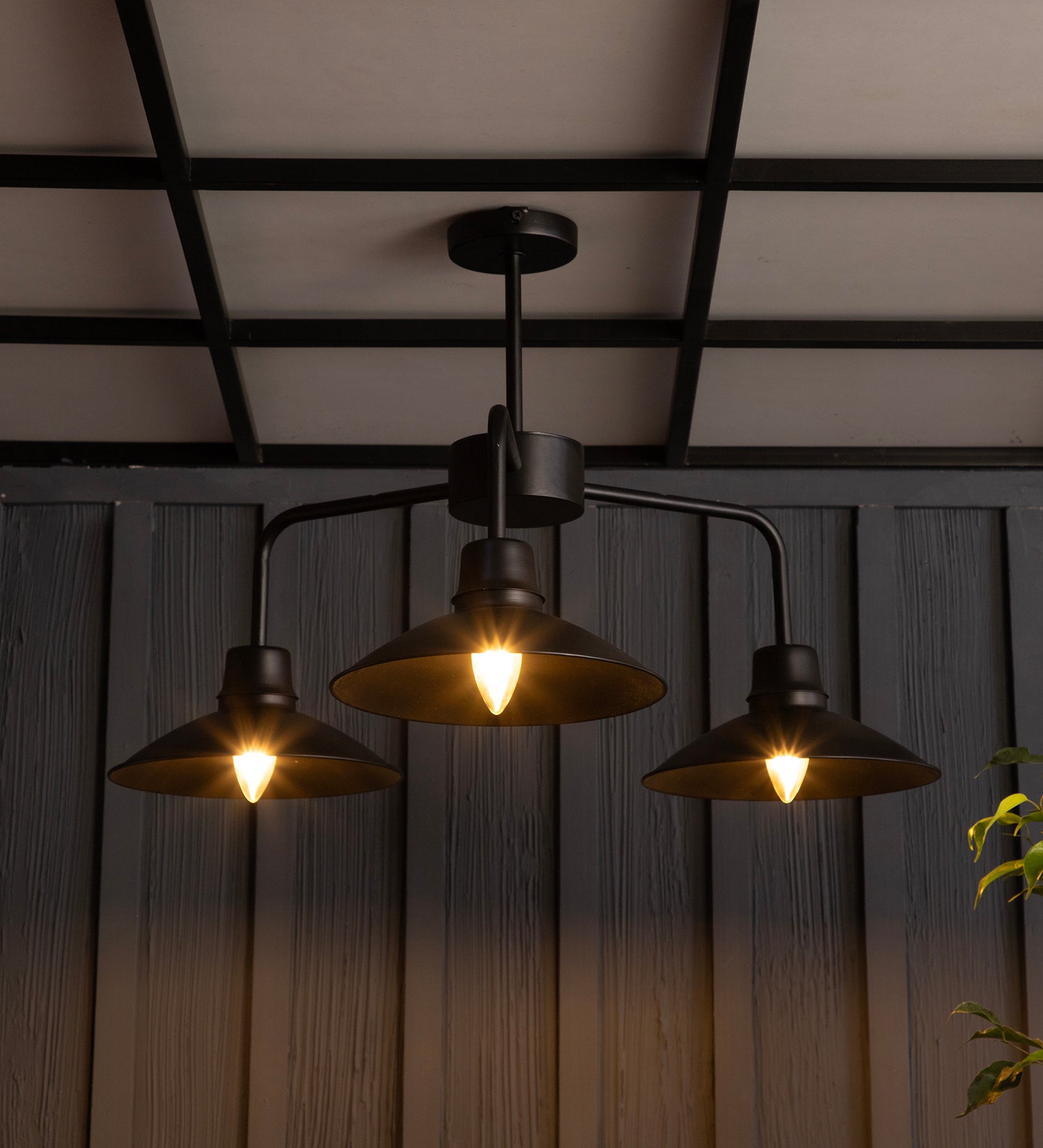 The Edward Chandelier By Shoppeefry