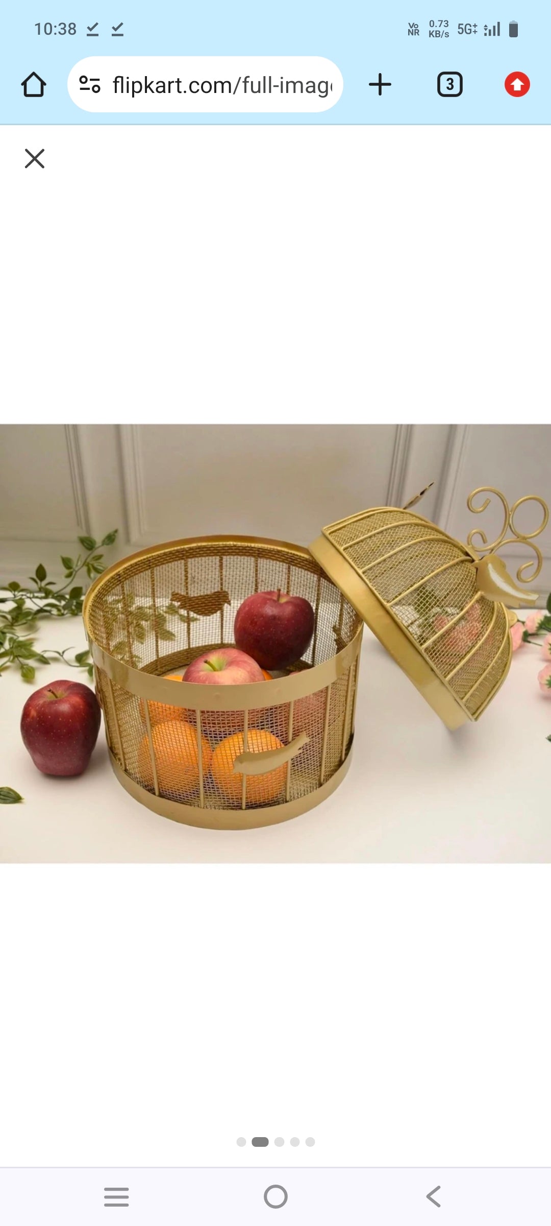 Luxury Metal Fruit Basket (Golden) | Fruit Basket Hotel Restaurant Kitchen.