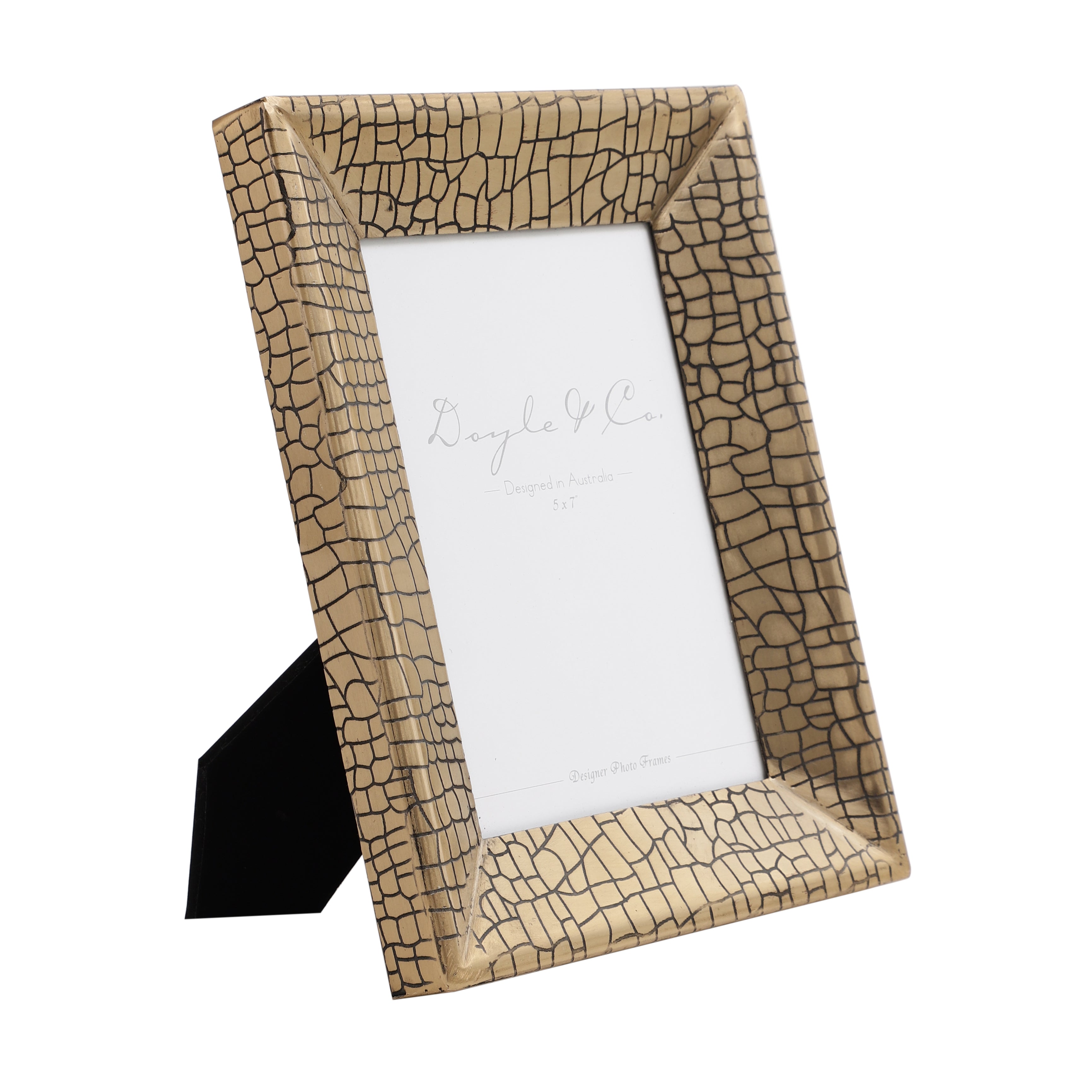 Aria Croc Frame - OUCHCART -FPHOTO FRAME