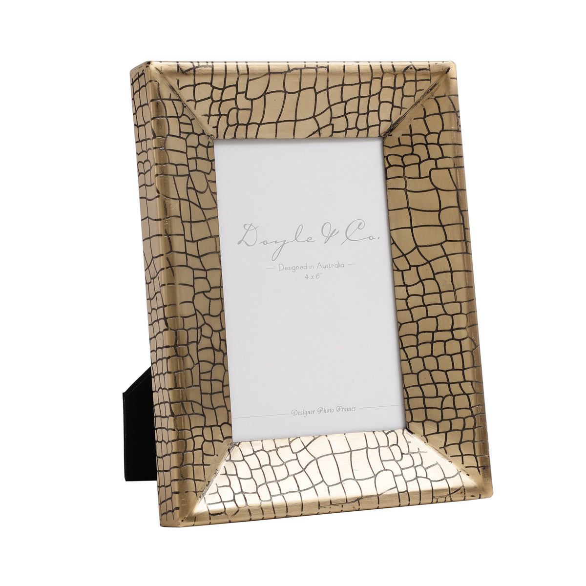 Aria Croc Large Frame M.M.I. OVERSEAS