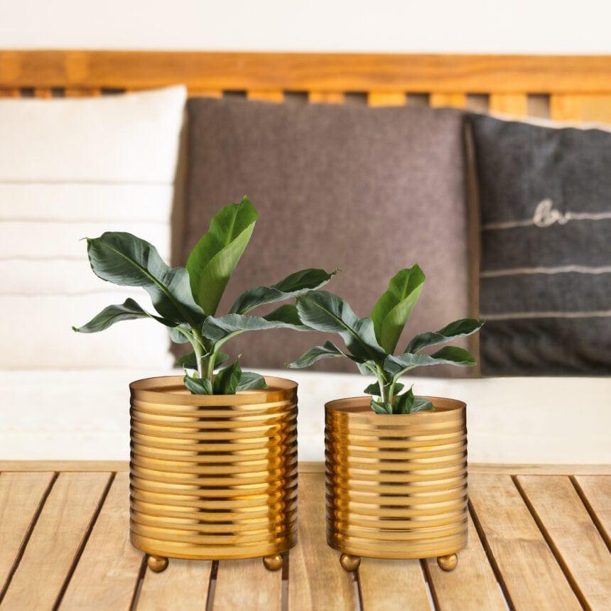 Golden Planter Home Garden - Ouch Cart