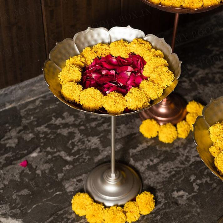 Taaj urli Sat of 1 - Ouch Cart