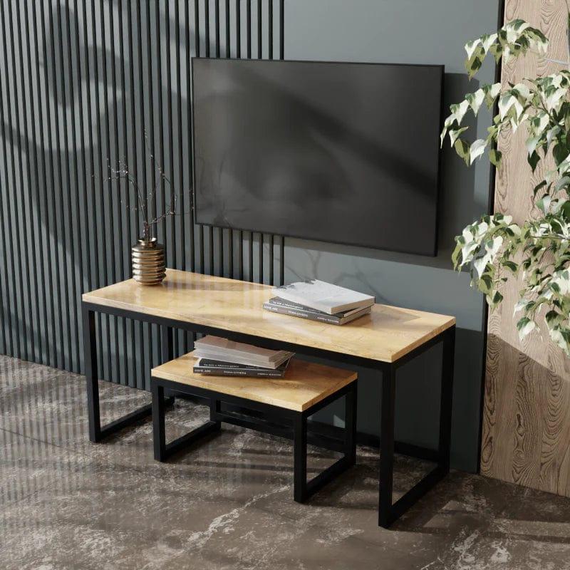 TV Units, TV Unit, tv units for living room, tv units design, tv unit size, tv units online india, tv units cabinets, tv units modern, tv units ikea, tv units for sale, tv units with storage, tv units with storage for living room, tv unit with stand, tv unit with storage design, floor mounted tv stand, floor mounted tv stands for lcd tvs, Large size tv unit, small size tv unit