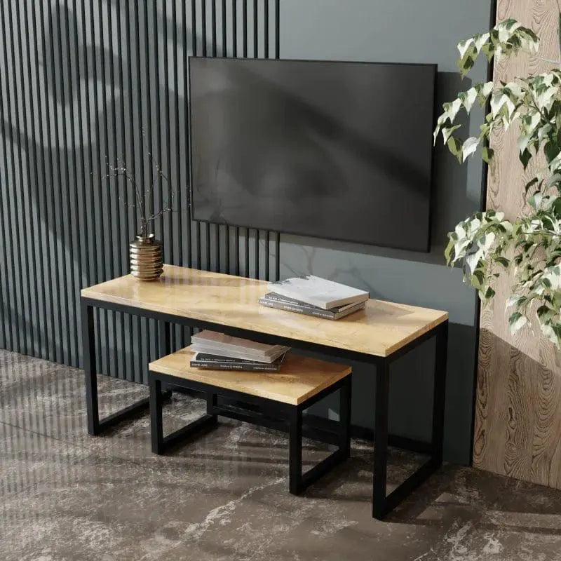 TV Units, TV Unit, tv units for living room, tv units design, tv unit size, tv units online india, tv units cabinets, tv units modern, tv units ikea, tv units for sale, tv units with storage, tv units with storage for living room, tv unit with stand, tv unit with storage design, floor mounted tv stand, floor mounted tv stands for lcd tvs, Large size tv unit, small size tv unit