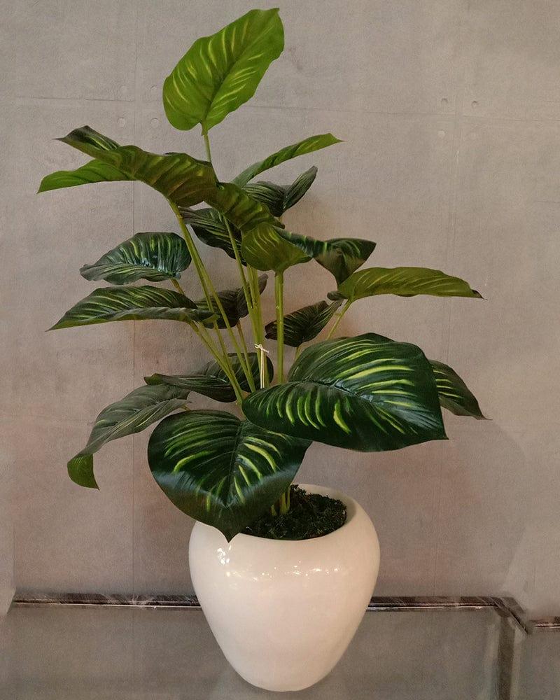 White Pot with Green Plant Planter - Ouch Cart