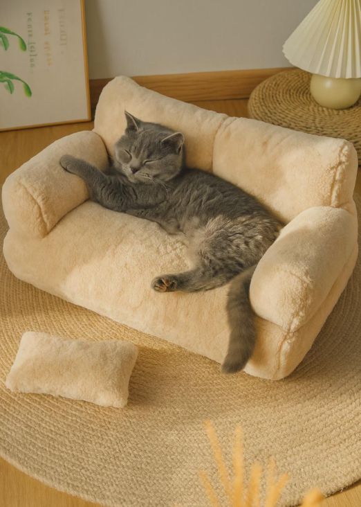 Luxury Plush Pet Sofa Bed with Cushion | Soft Teddy Fabric Dog & Cat Couch | Cozy Indoor Pet Bed for Small Dogs & Cats