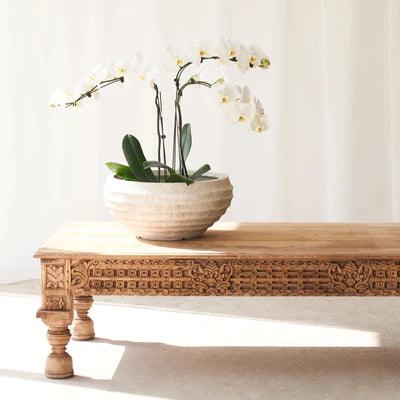 Emily Carved Solid Wood Coffee Table - Ouch Cart 