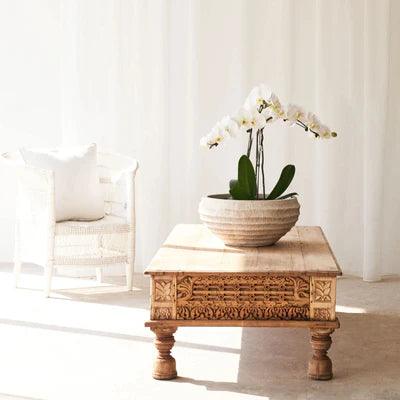 Emily Carved Solid Wood Coffee Table - Ouch Cart 