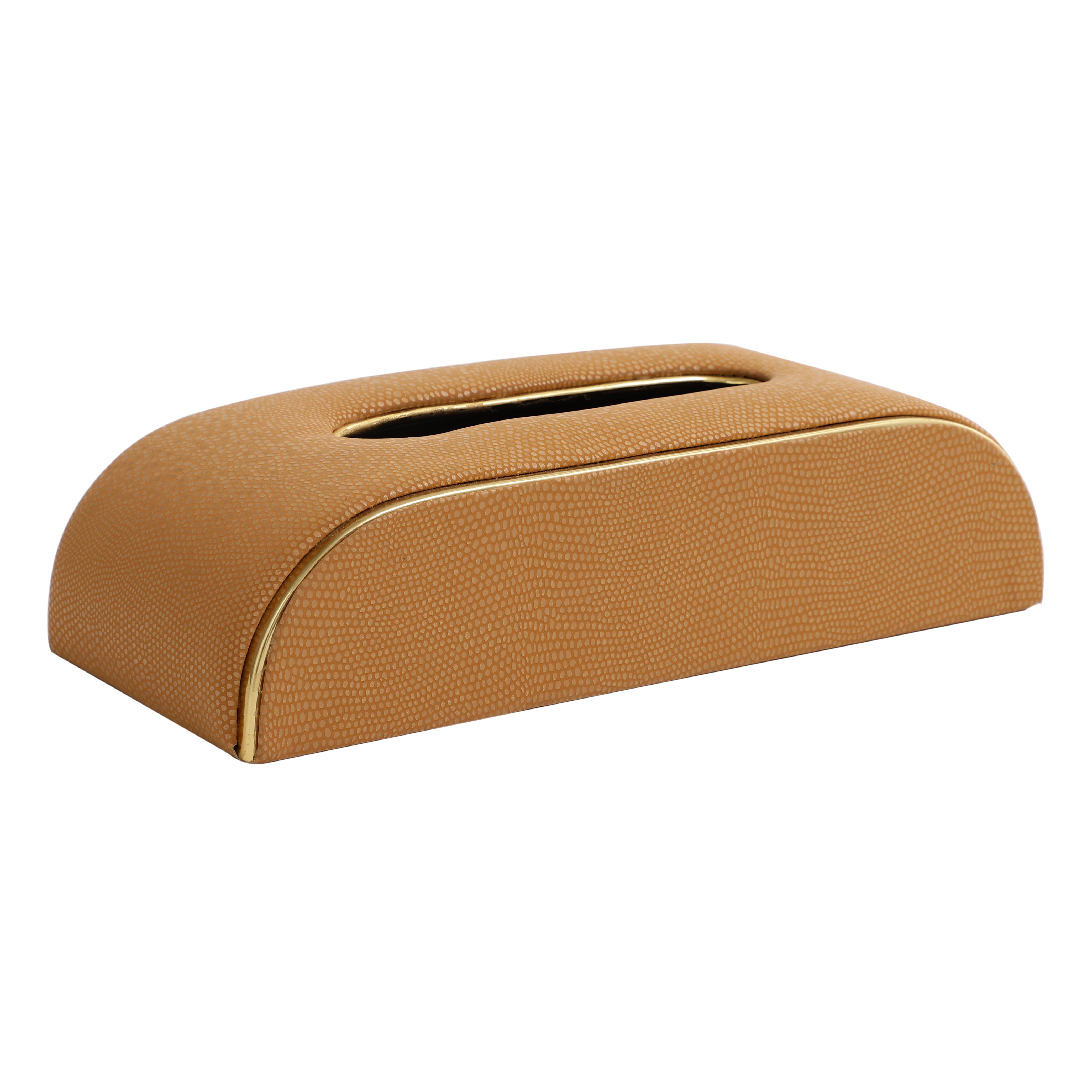 Sleek Slant Leather Napkin Box