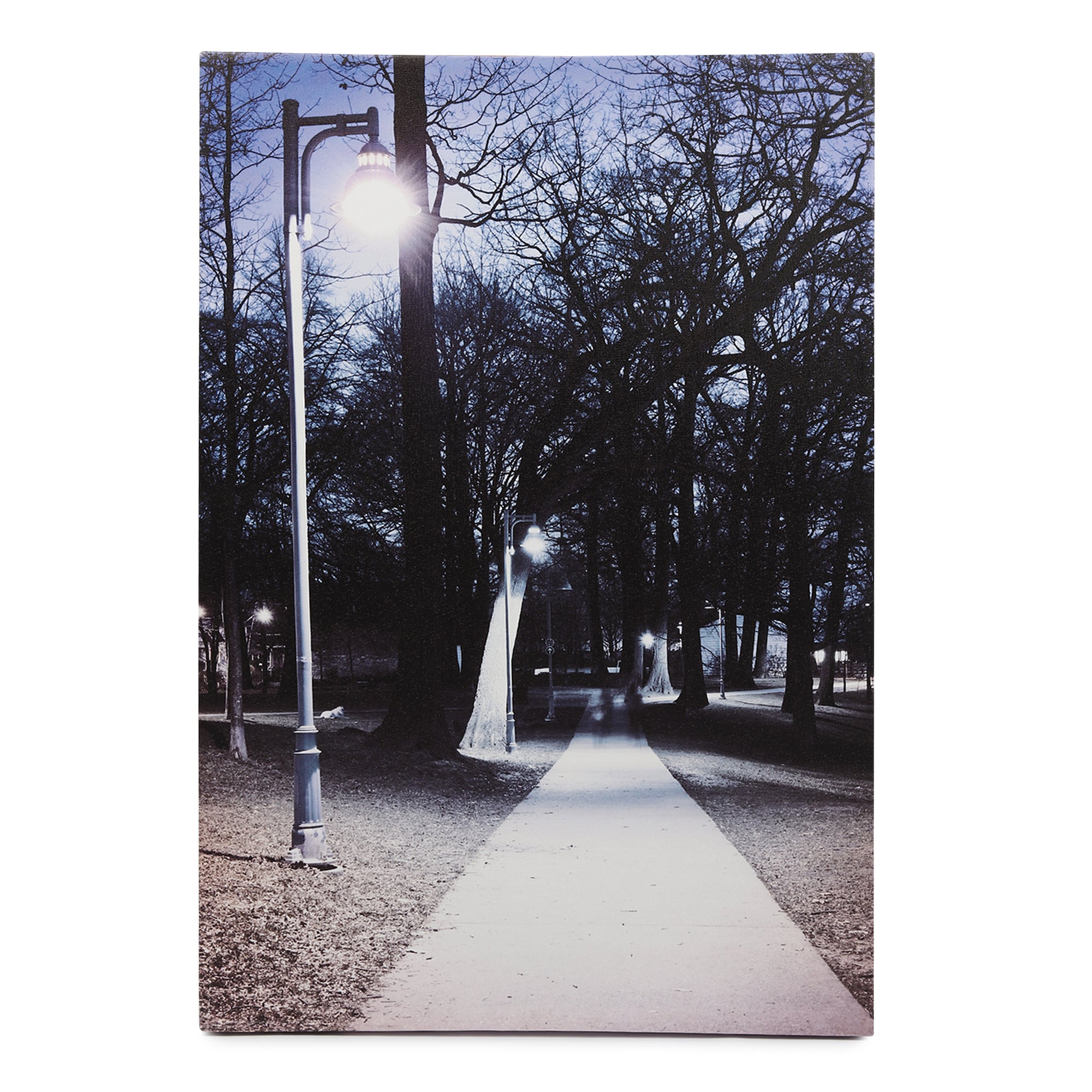 Northern Dreams LED Illuminated Wall Art - Wall art