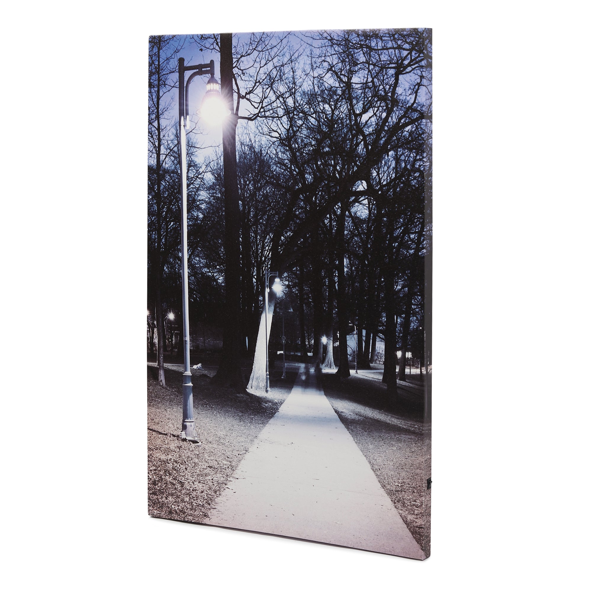 Northern Dreams LED Illuminated Wall Art - Wall art