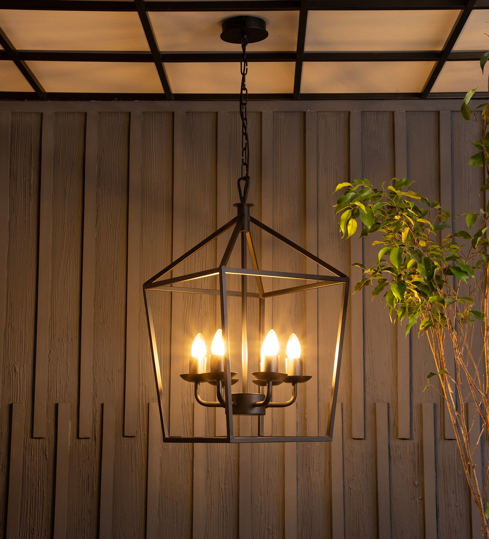 Velsa 6Lt Chandelier By Shoppeefry