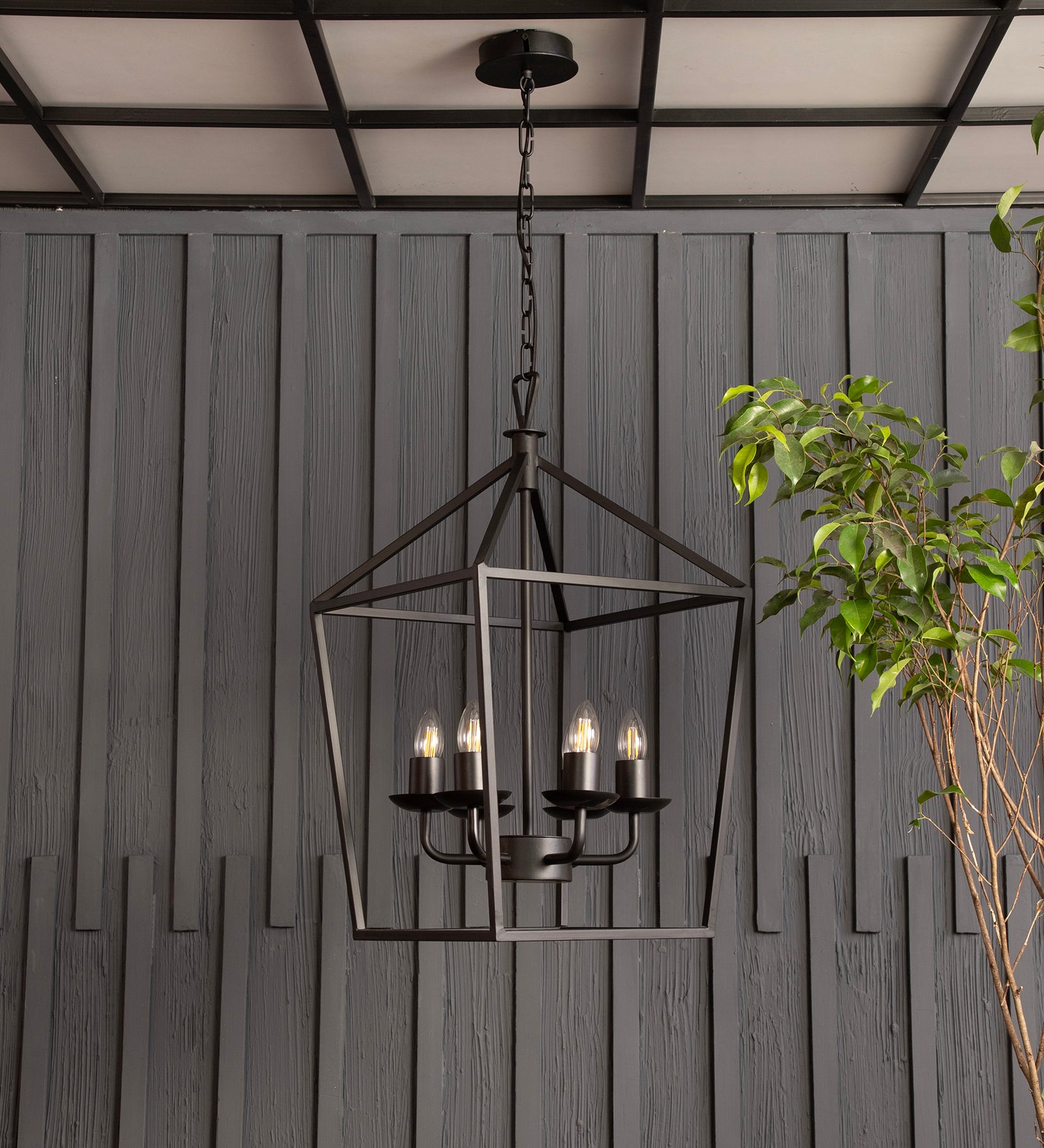 Velsa 6Lt Chandelier By Shoppeefry