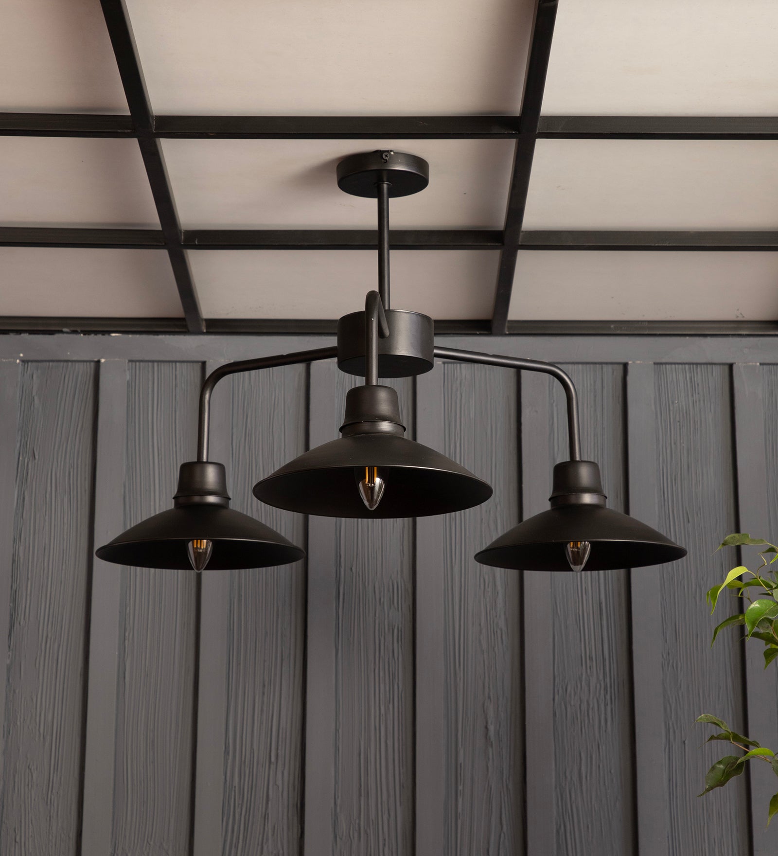 The Edward Chandelier By Shoppeefry