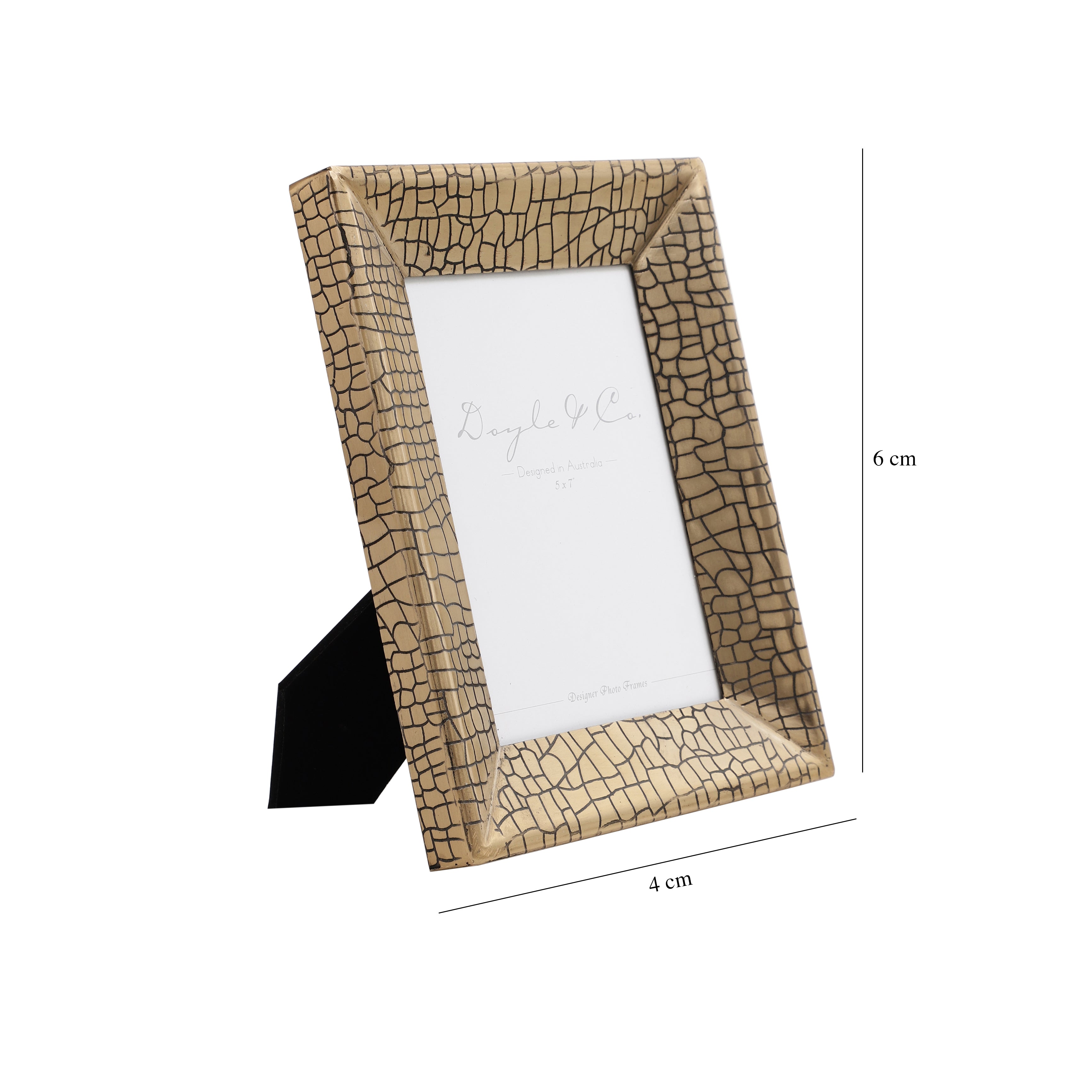 Aria Croc Frame