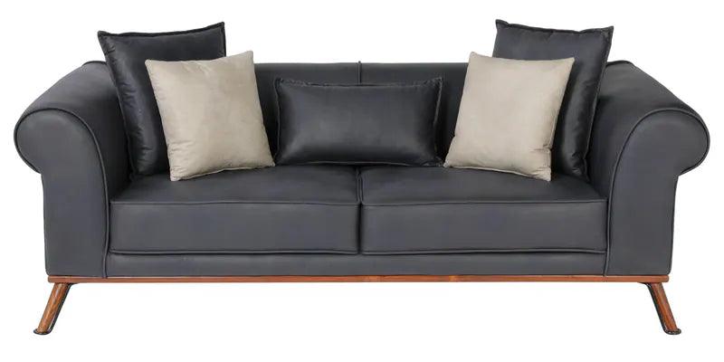 2 Seater Leather Sofa In Dark Blue Colour - Ouch Cart 