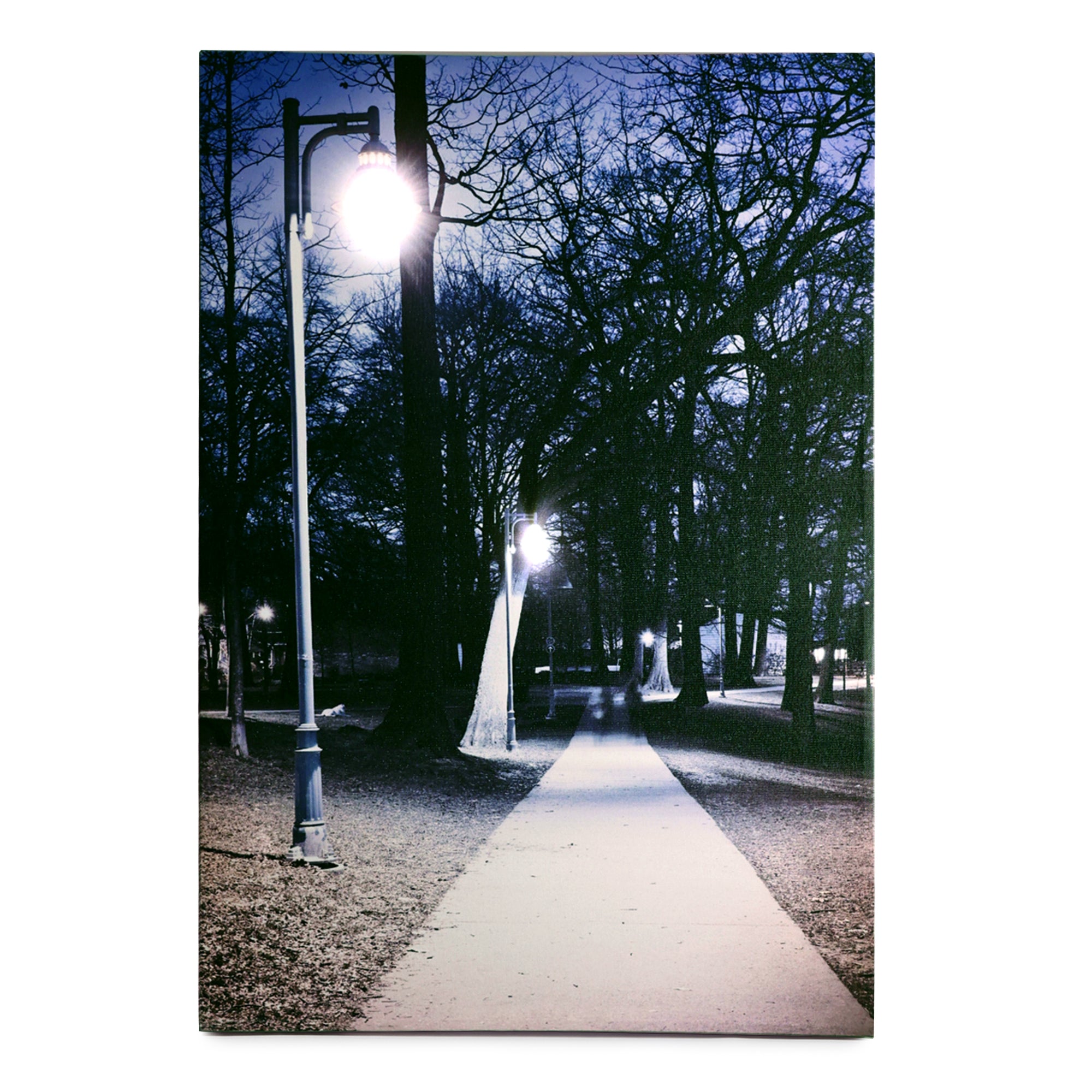 Northern Dreams LED Illuminated Wall Art - Wall art