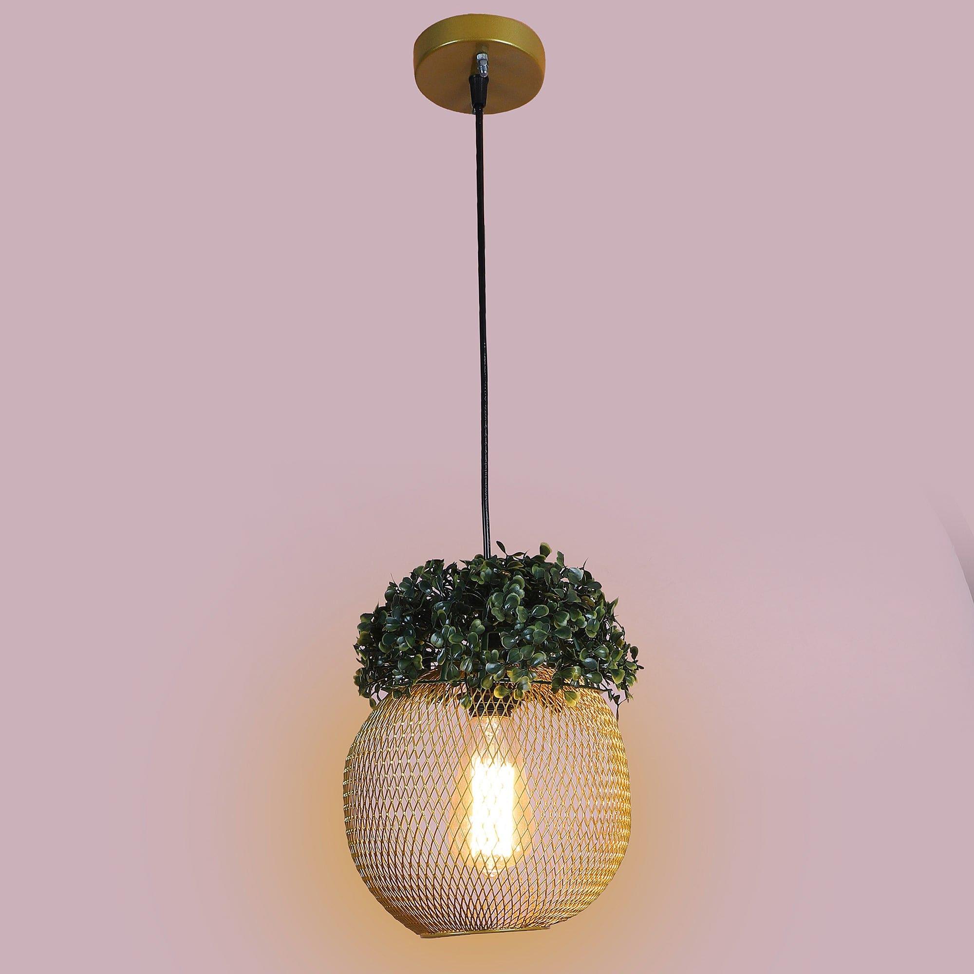 Golden Glass Iron Hanging Lights