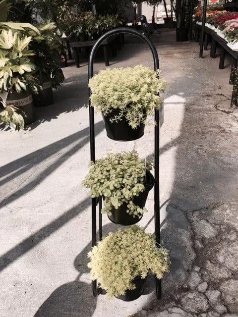 Plant Stand: Free Form Multi-Tiered Plant Stand - Ouch Cart 